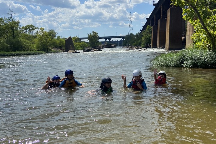 a group of people swimming in a body of water