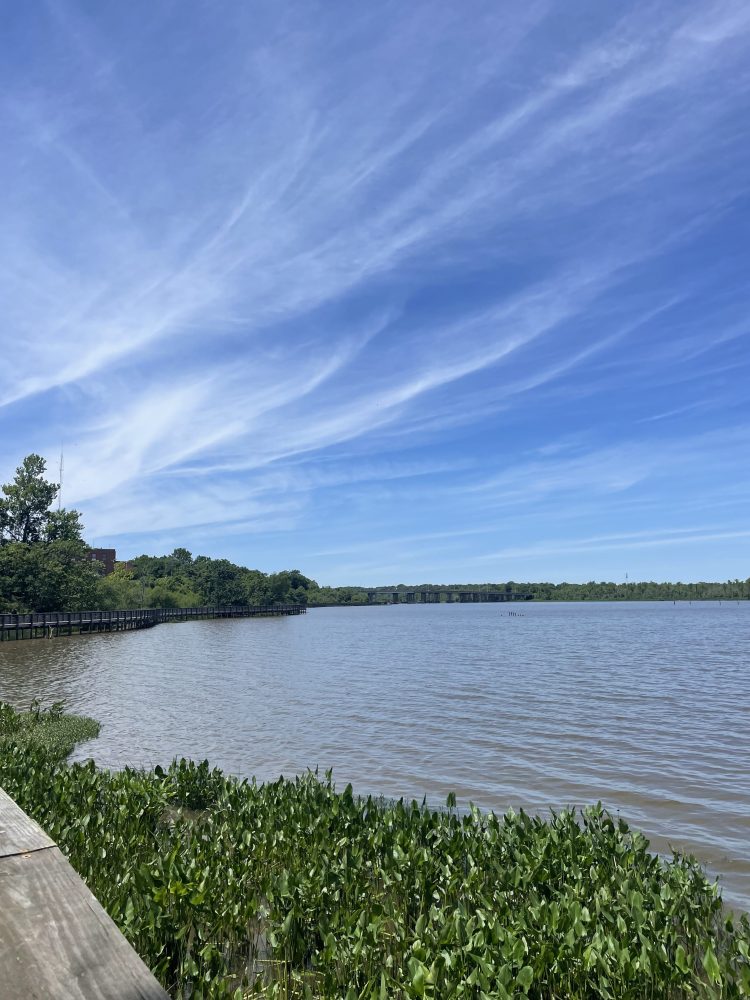 a body of water